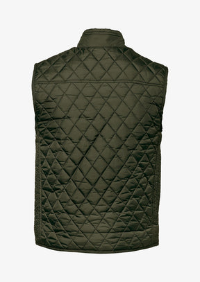 AW25 NEWS 0002 Camden Men Olive Back